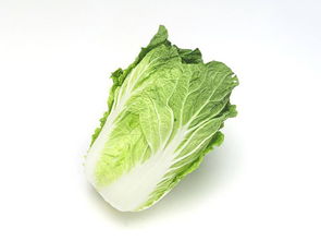 虎門(mén)酒店蔬菜配送與內(nèi)陸水產(chǎn)養(yǎng)殖銷(xiāo)售——專(zhuān)業(yè)周到的食材供應(yīng)解決方案