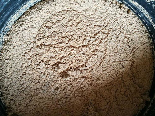 正宇多多黑水虻發(fā)酵蟲漿 內(nèi)陸水產(chǎn)養(yǎng)殖的綠色革命，魚蝦健康新“食”代